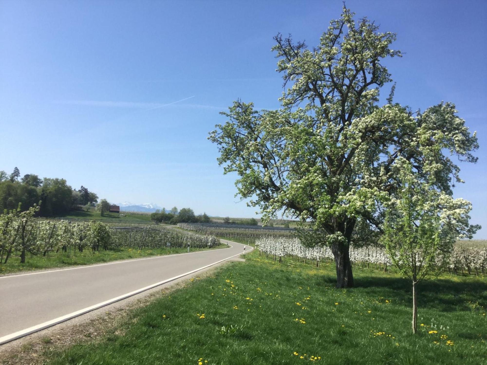 Maisonette Am See Nonnenhorn Dış mekan fotoğraf