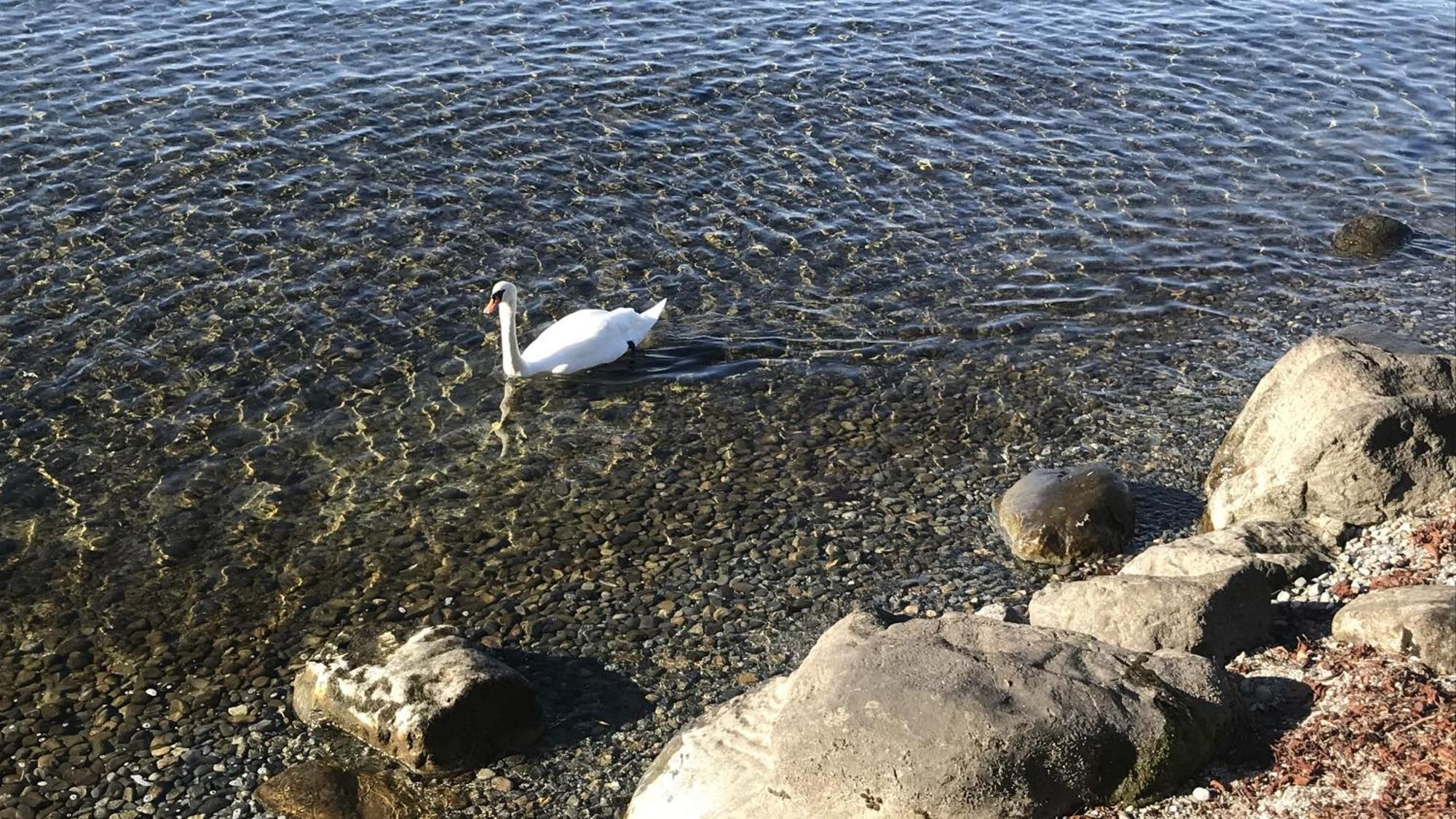 Maisonette Am See Nonnenhorn Dış mekan fotoğraf